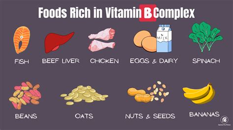 The 6 Best Vitamin B.